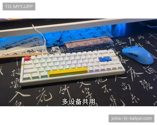 职业选手键盘选择大公开